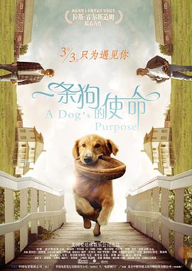 等待社长的妻子